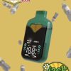 fanta dual 2g disposable