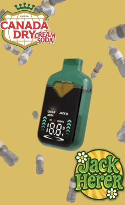 fanta dual 2g disposable