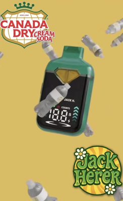fanta dual 2g disposable